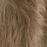 Aki wig - 56cm - Trendco