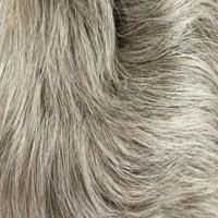 Aki wig - 56cm - Trendco