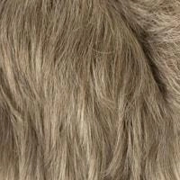 Aki wig - 56cm - Trendco