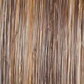Always Wig by Raquel Welch | Large Heat Friendly Synthetic (Traditional Cap)