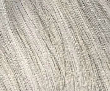 Amber wig - Envy Collection