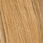 Applause wig - Raquel Welch Black Label Human Hair Collection