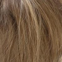 Arden wig - Amore Rene of Paris