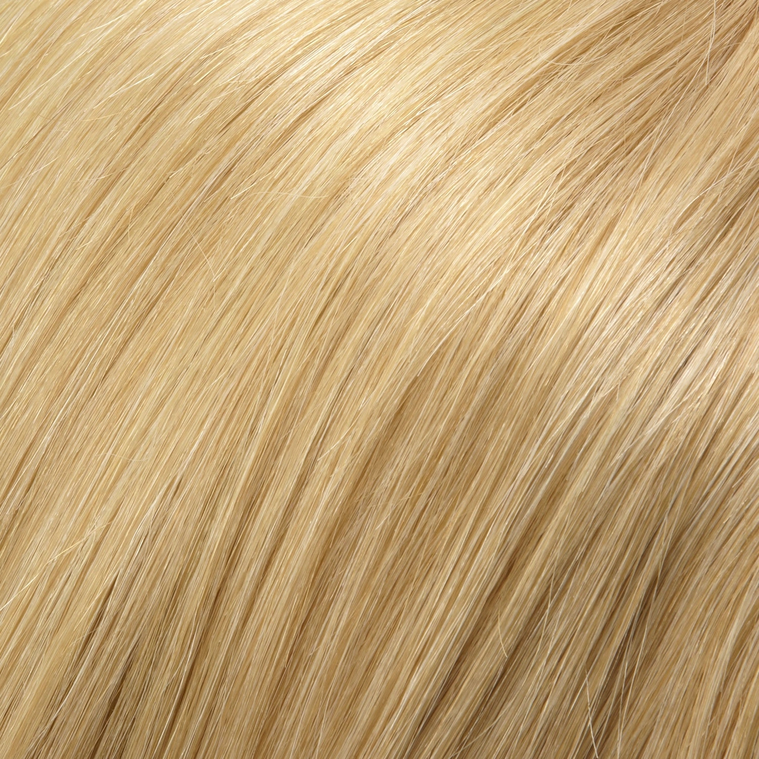 Blake Lite HT Wig by Jon Renau | Remy Human Hair Hair | Average Cap