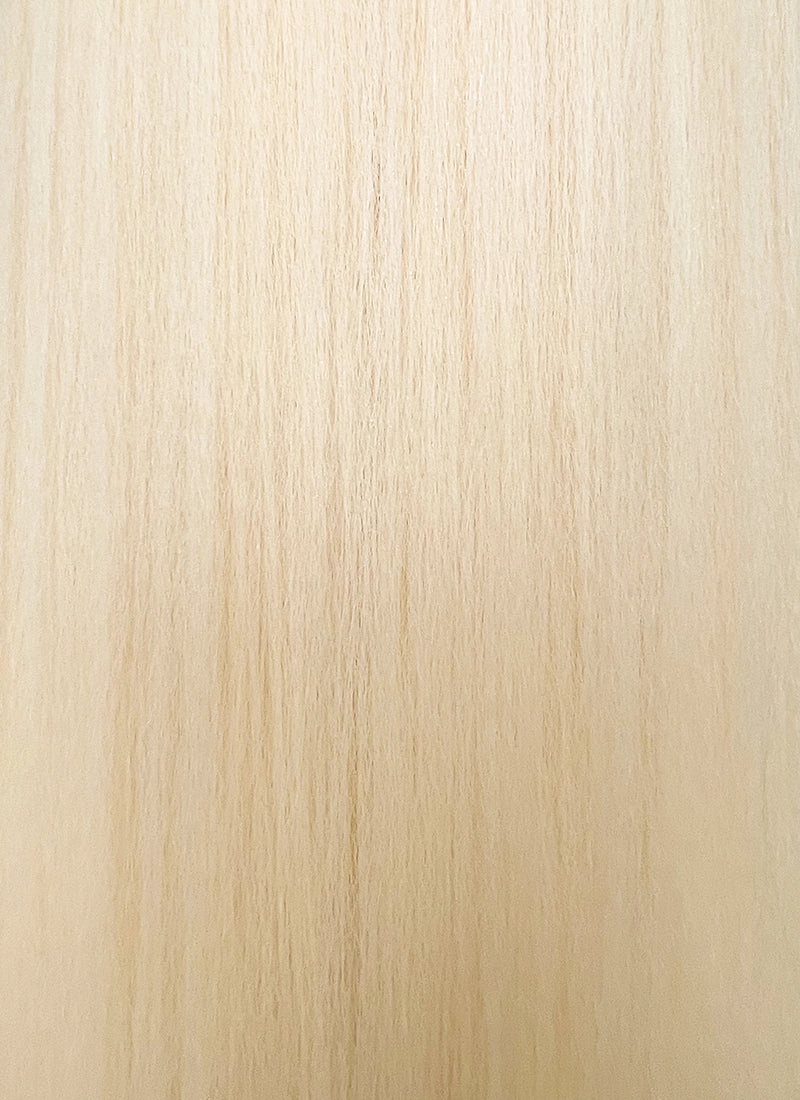 Blonde Yaki Straight Synthetic Hair Wig NS433