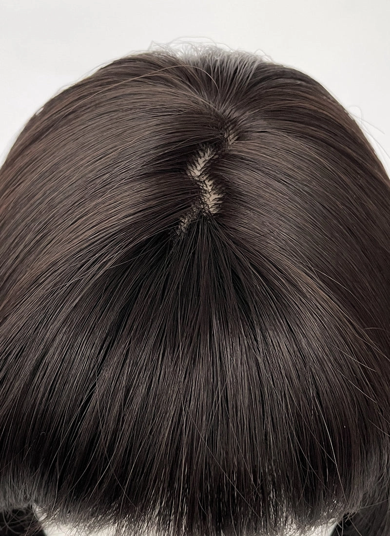 Brunette Straight Synthetic Hair Wig NS526