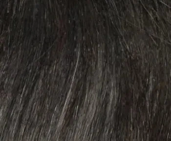 Carley wig - Envy Collection