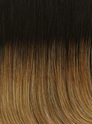 Classic Cut Wig by Raquel Welch | Heat Friendly Synthetic (Mono Crown Traditional Cap)