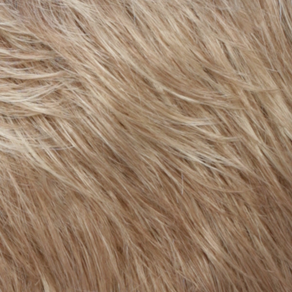 Compliment Wig by Estetica | Synthetic Wig