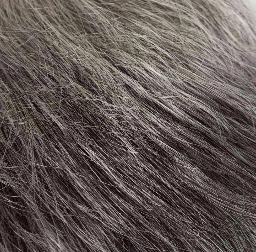 Cora Wig by Tony of Beverly | Heat Friendly Synthetic Wig (Traditional Cap)