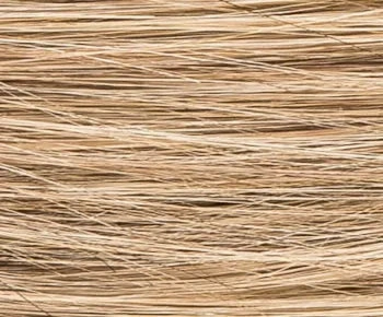 Date wig - Ellen Wille Hairpower Collection