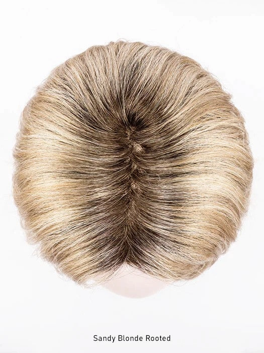Destiny Wig by Ellen Wille | Hair Power | Extended Lace Front | Mono Part