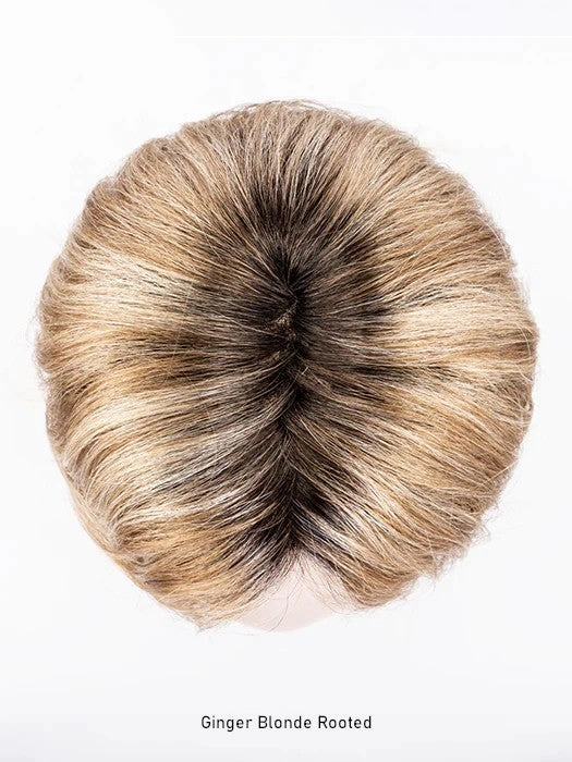Destiny Wig by Ellen Wille | Hair Power | Extended Lace Front | Mono Part