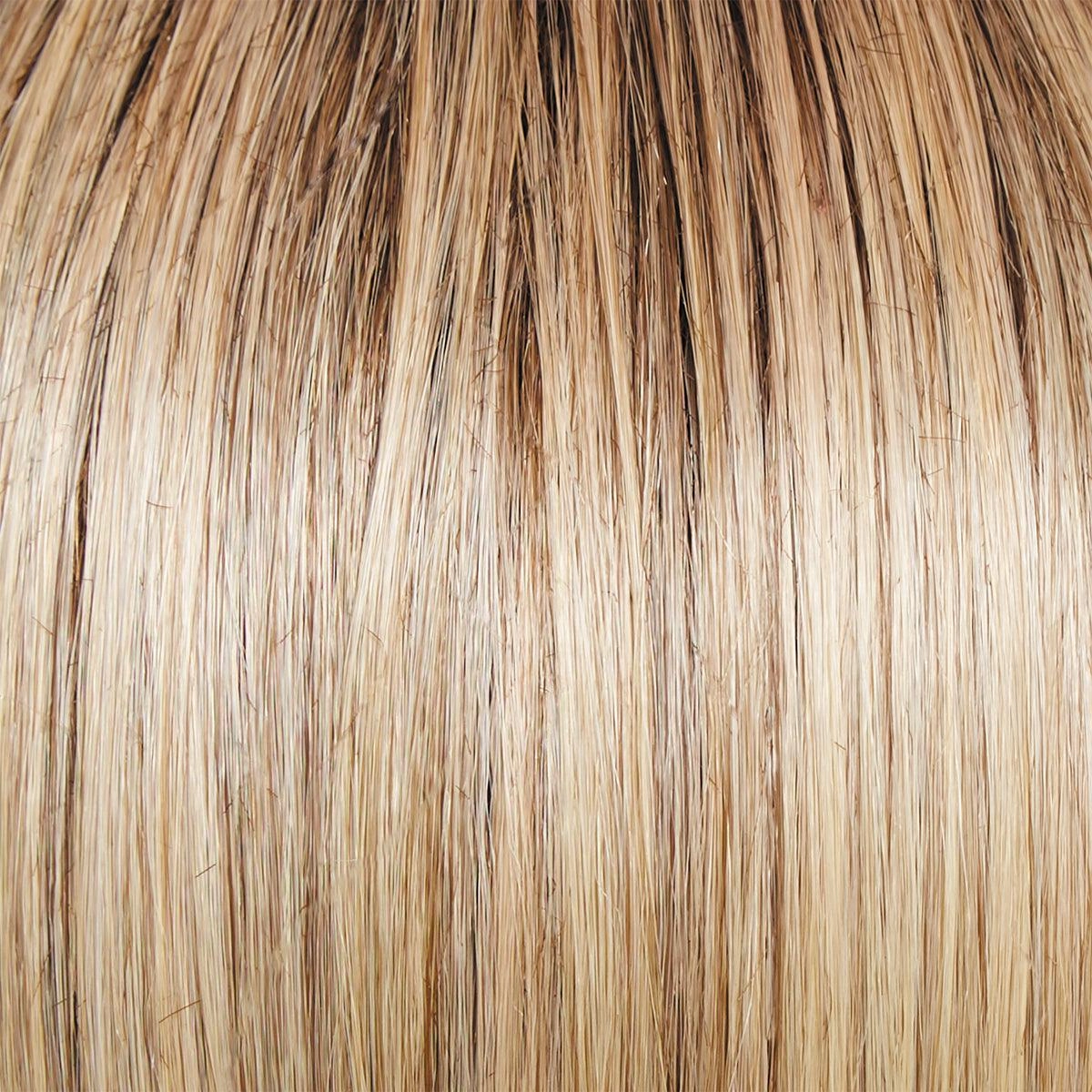 Editor's Pick Elite Wig by Raquel Welch | 100% Hand Tied Heat Friendly Synthetic Lace Front (Mono)