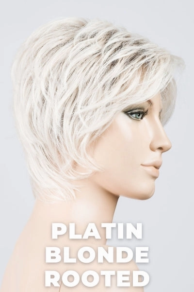 Ellen Wille Wigs - Cover