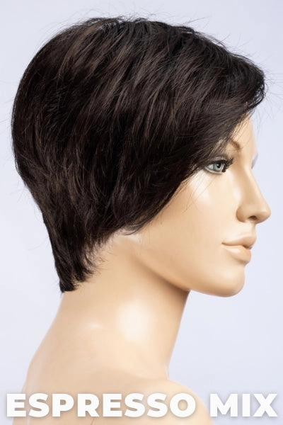 Ellen Wille Wigs - First