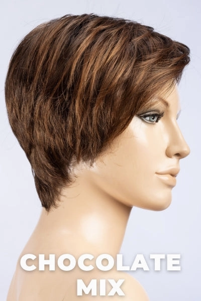Ellen Wille Wigs - First
