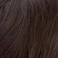 Erika wig - Amore Rene of Paris