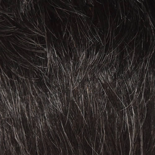 Felicity Wig by WigPro | Synthetic Fiber