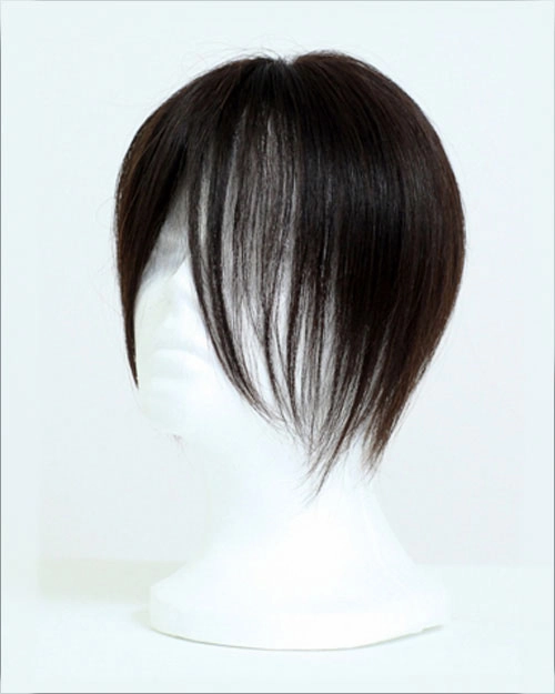 Fringe Line | Human Hair Wiglet by Wig Pro