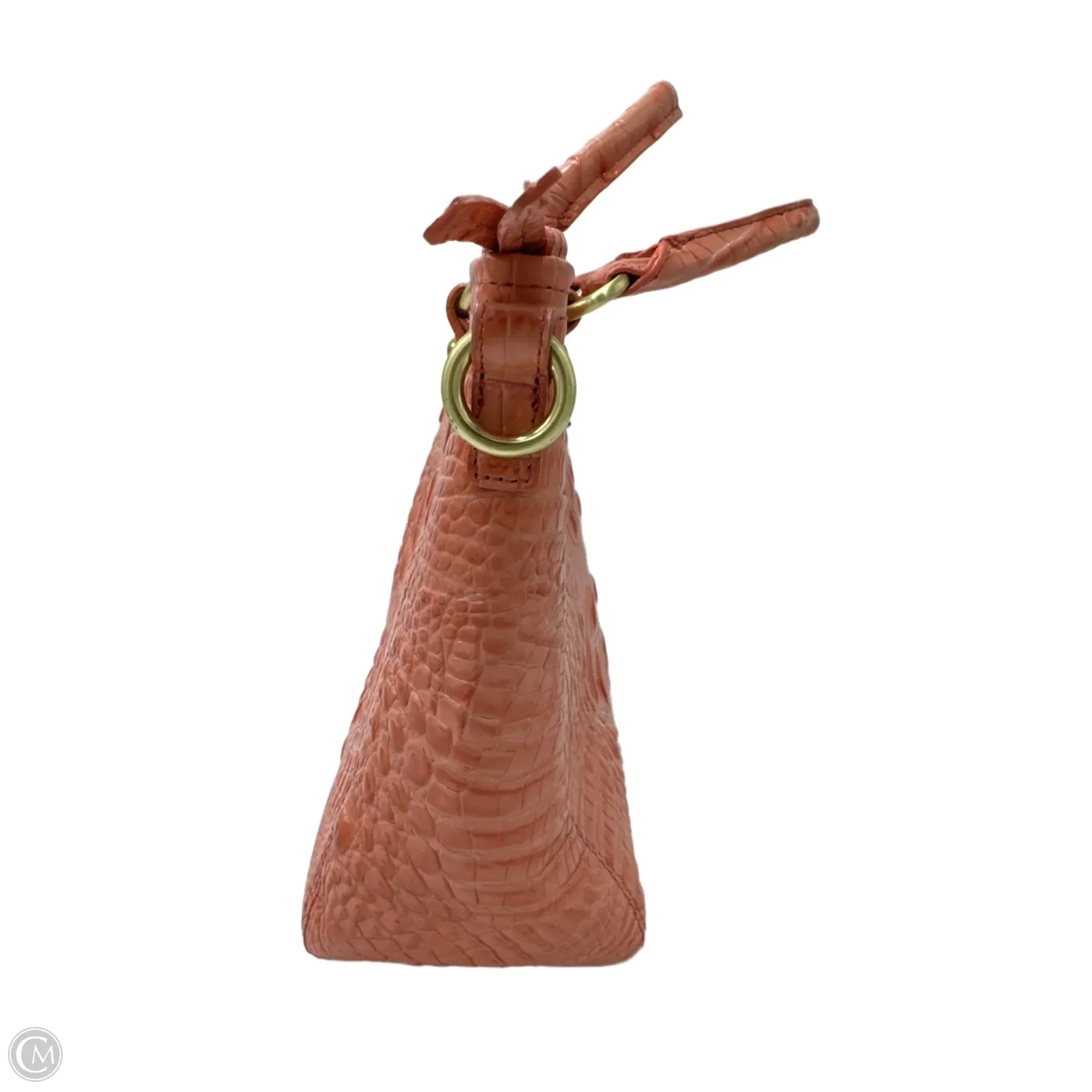 Handbag Designer By Brahmin