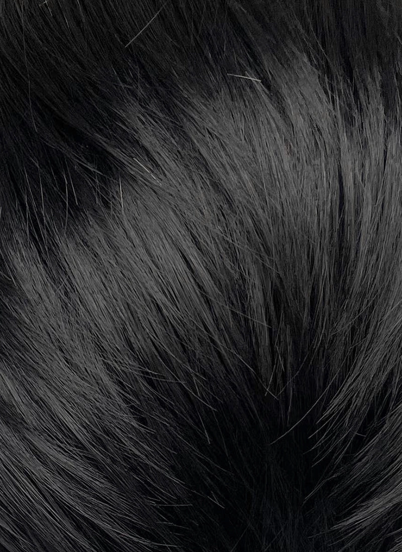 Helluva Boss Blitzo Buckzo Black and Silver White Money Piece Straight Lace Front Synthetic Men's Wig LF6065