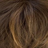 Jackson wig - Noriko