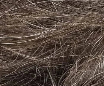 Lexi wig - Ellen Wille Modixx Collection