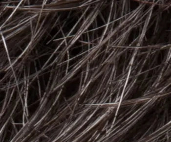 Lexi wig - Ellen Wille Modixx Collection