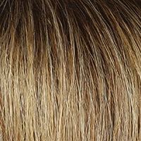 Made You Look wig - Raquel Welch
