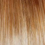 Make a Statment Wig by Gabor | Heat Friendly Synthetic (Lace Front Mono)