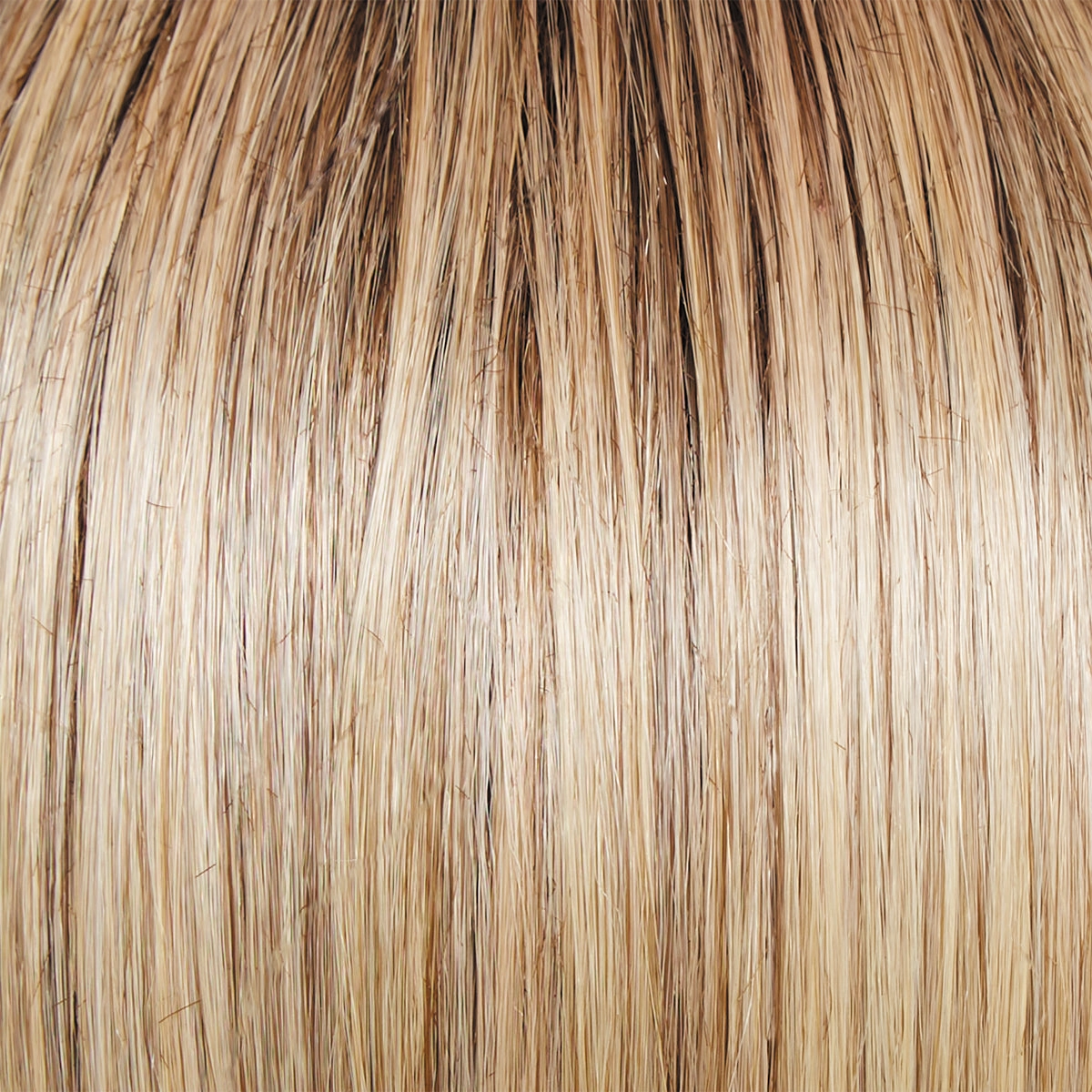 Mesmerized Wig by Raquel Welch