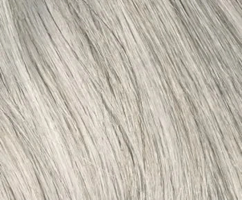 Micki wig - Envy Collection