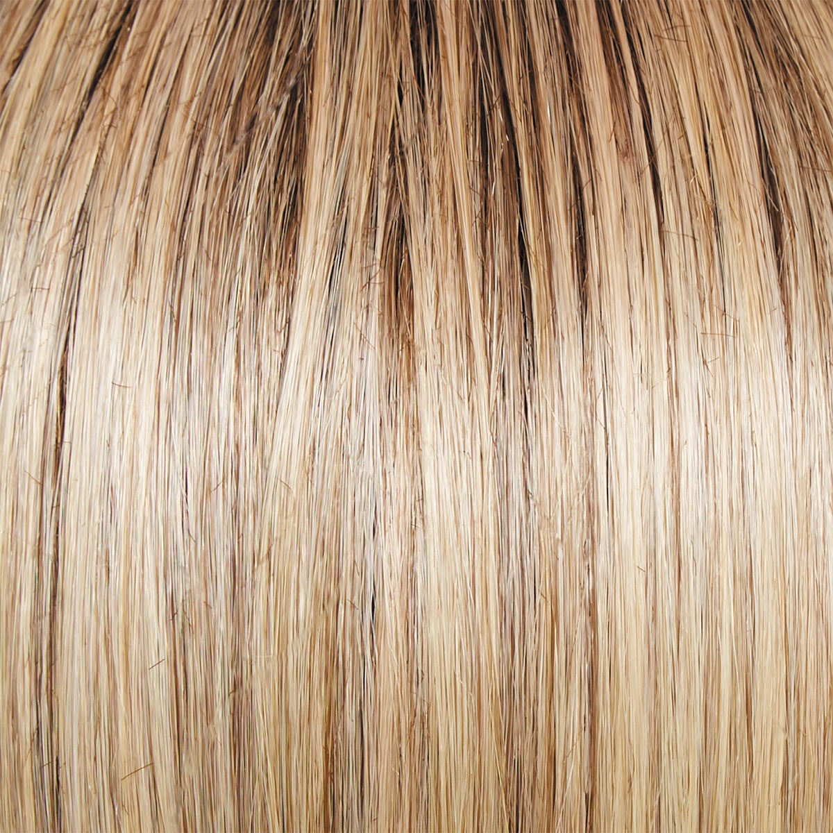 Monologue Wig by Raquel Welch | Heat Friendly Synthetic (Lace Front Mono)