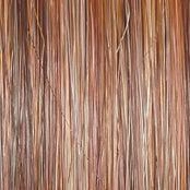 Monologue Wig by Raquel Welch | Heat Friendly Synthetic (Lace Front Mono)