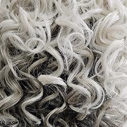 On The Cover Wig by Raquel Welch | Heat Friendly Synthetic (Lace Front Mono)