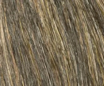 Penelope wig - Envy Collection