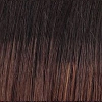 Play it Straight wig - Raquel Welch
