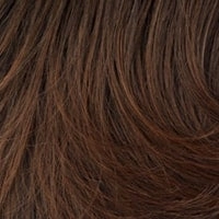 Play it Straight wig - Raquel Welch