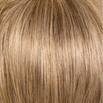 Prodigy Wig by Gabor | Lace Front | Mono Top | Synthetic Fiber