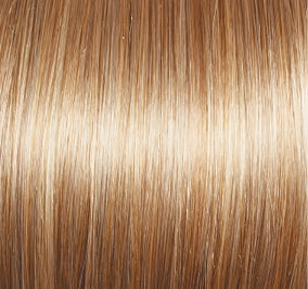 Radiant Beauty Wig by Gabor | Lace Front | Mono Part