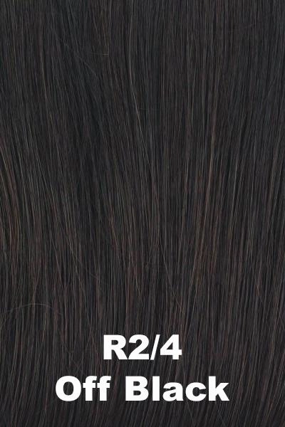 Raquel Welch Wigs - Big Time