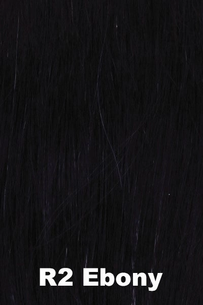 Raquel Welch Wigs - Trend Setter Elite