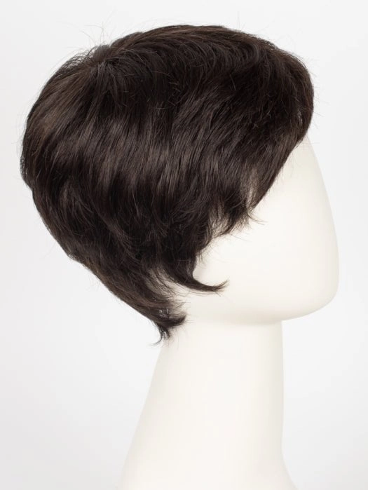 Risk | Synthetic Lace Front Wig (Mono Crown)
