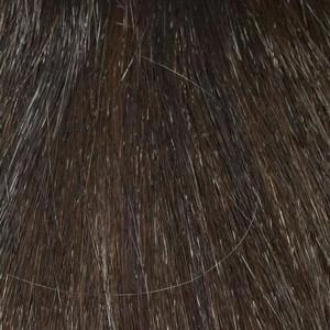 Rylee Wig by Envy | Synthetic (Lace Front Mono Top)
