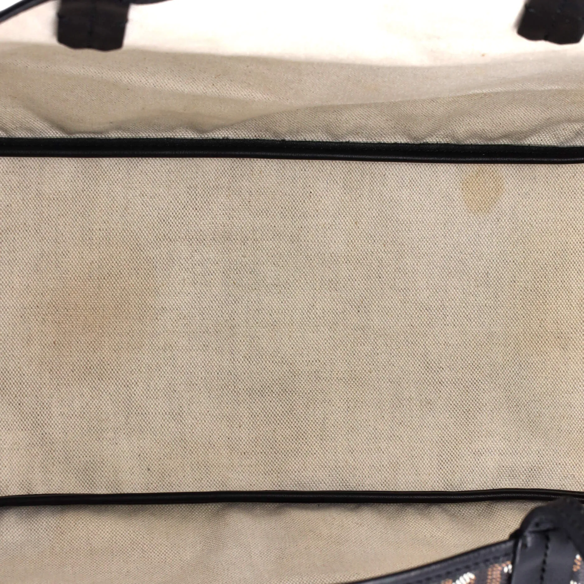 Saint Louis Tote Coated Canvas PM