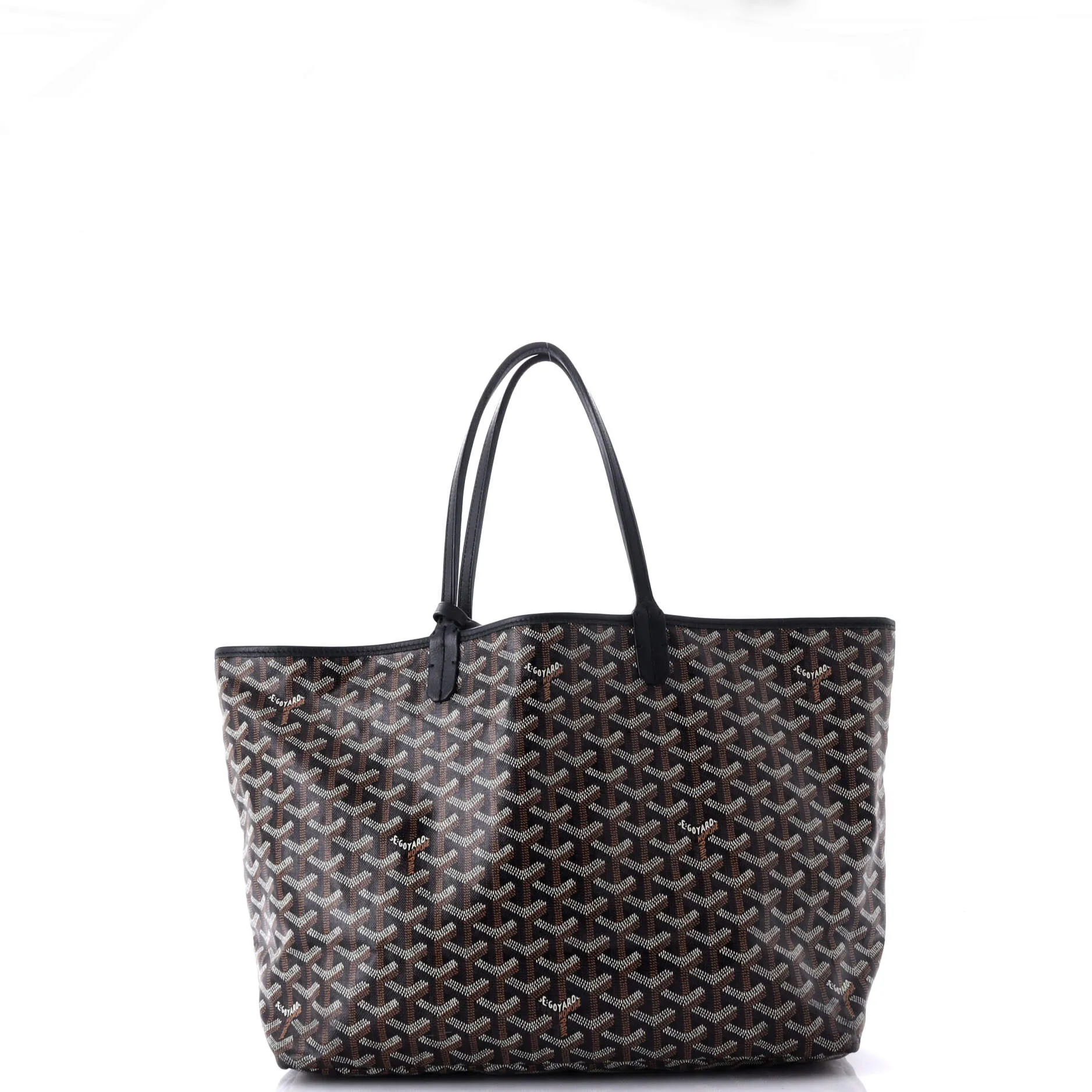 Saint Louis Tote Coated Canvas PM