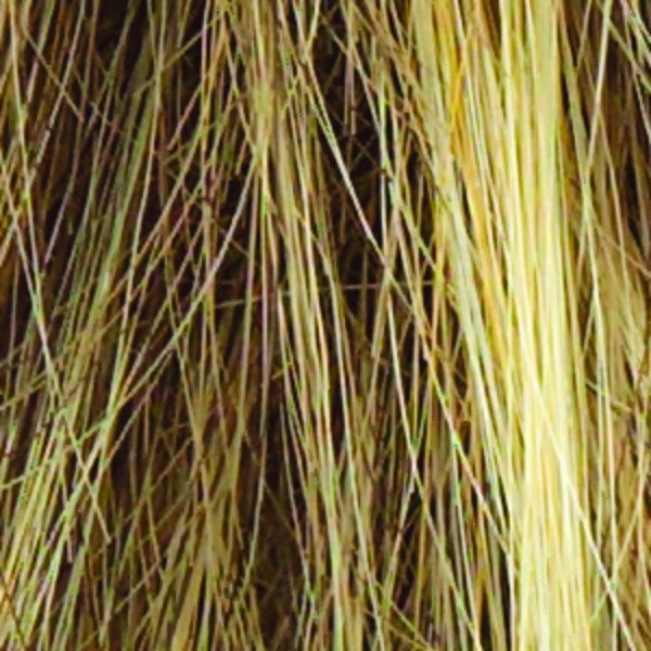 Salsa Wig by Raquel Welch | Synthetic Hair | Large Cap