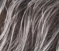 Seven Mono Part wig - Ellen Wille Hairpower Collection