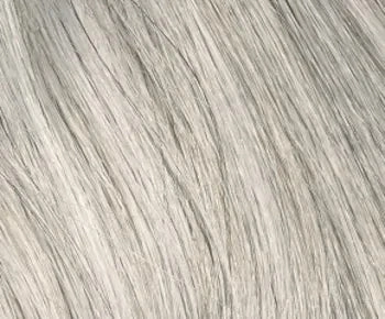 Sheila wig - Envy Collection